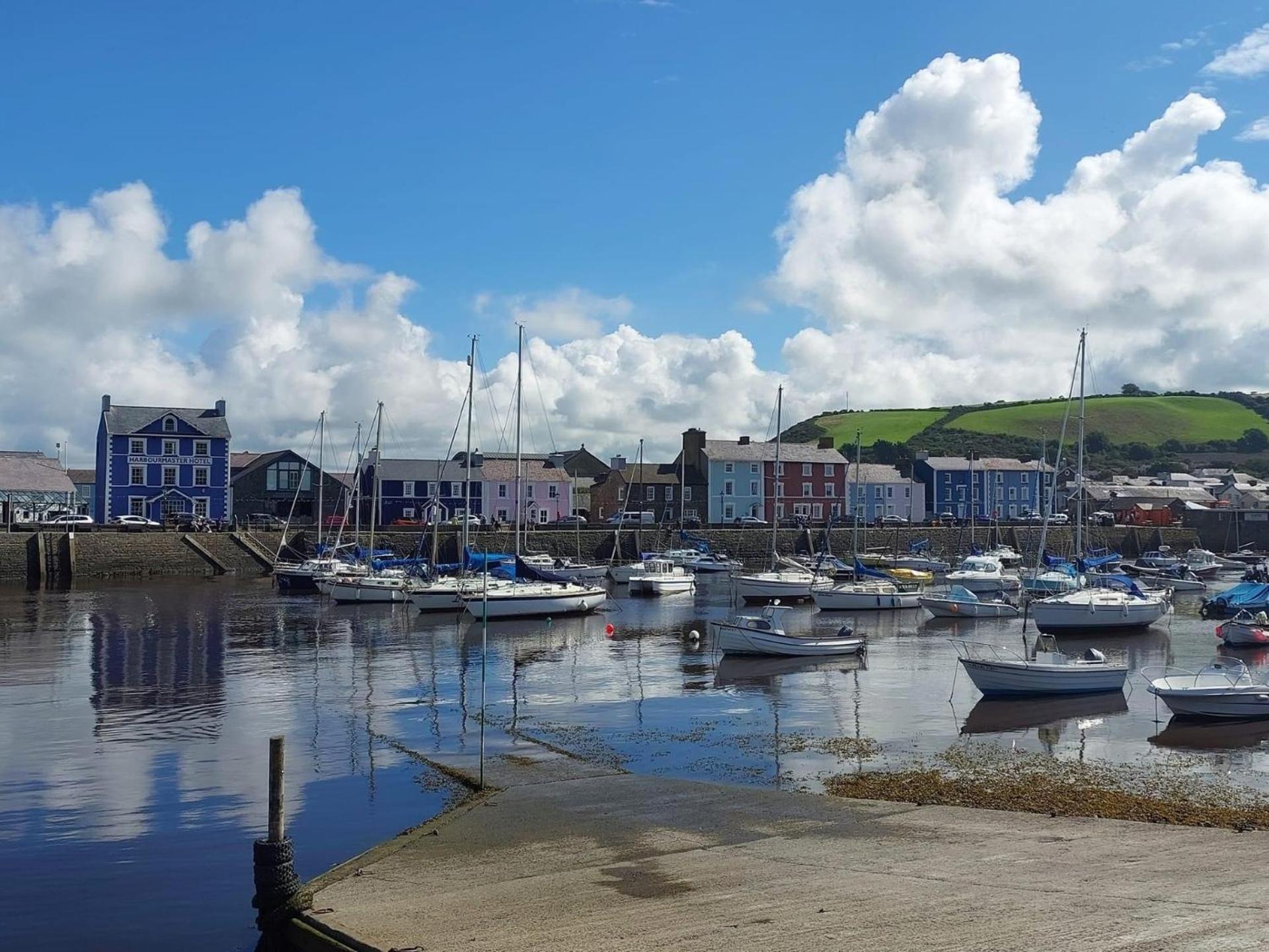 Nant Meigan, Georgian Townhouse In Centre Of Aberaeron, Dog Friendly Eksteriør bilde